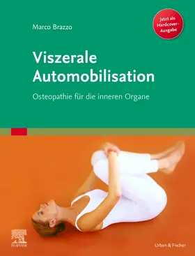 Brazzo |  Viszerale Automobilisation | Buch |  Sack Fachmedien