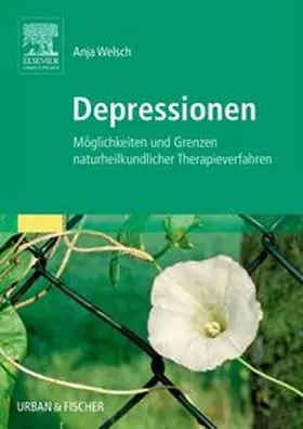 Welsch |  Depressionen | Buch |  Sack Fachmedien