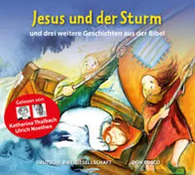 Brandt / Nommensen | Jesus und der Sturm | Sonstiges | 978-3-438-02245-5 | sack.de