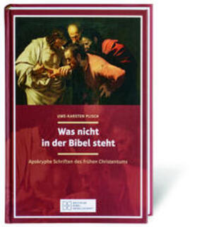 Plisch |  Was nicht in der Bibel steht | Buch |  Sack Fachmedien