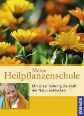 Bühring |  Meine Heilpflanzenschule | Buch |  Sack Fachmedien