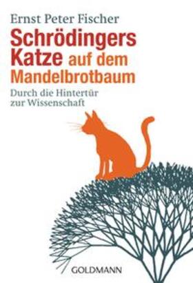 Fischer |  Schrödingers Katze auf dem Mandelbrotbaum | Buch |  Sack Fachmedien