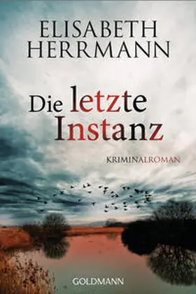 Herrmann |  Die letzte Instanz | Buch |  Sack Fachmedien