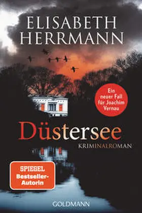 Herrmann |  Düstersee | Buch |  Sack Fachmedien