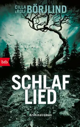 Börjlind |  Schlaflied | Buch |  Sack Fachmedien