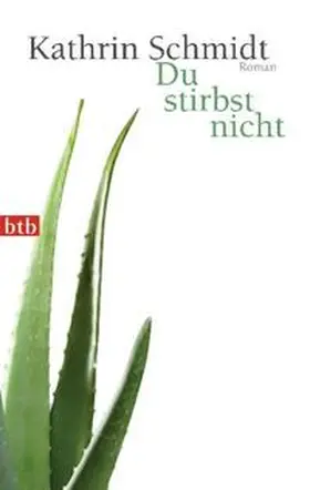 Schmidt |  Du stirbst nicht | Buch |  Sack Fachmedien