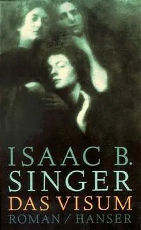 Singer |  Das Visum | Buch |  Sack Fachmedien