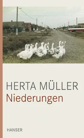 Müller |  Niederungen | Buch |  Sack Fachmedien