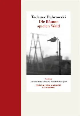 Dabrowski | Die Bäume spielen Wald | Buch | 978-3-446-24664-5 | sack.de