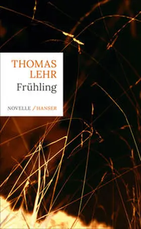 Lehr |  Frühling | Buch |  Sack Fachmedien