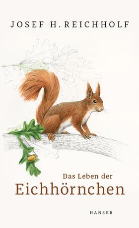 Reichholf |  Das Leben der Eichhörnchen | Buch |  Sack Fachmedien