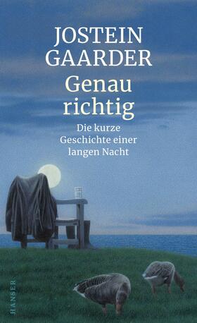 Gaarder |  Genau richtig | eBook | Sack Fachmedien