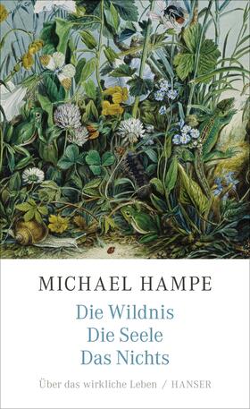 Hampe |  Die Wildnis, die Seele, das Nichts | Buch |  Sack Fachmedien