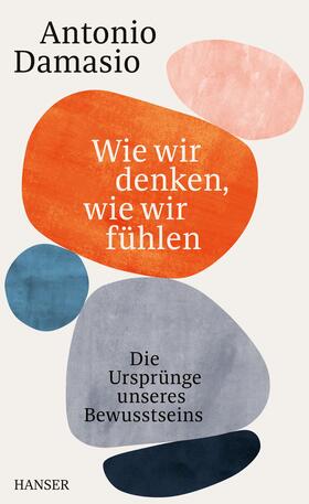 Damasio |  Wie wir denken, wie wir fühlen | Buch |  Sack Fachmedien