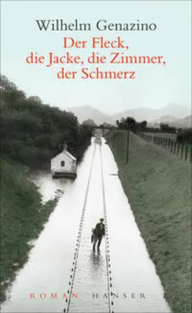 Genazino |  Der Fleck, die Jacke, die Zimmer, der Schmerz | Buch |  Sack Fachmedien