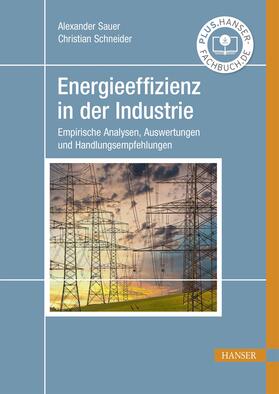 Sauer / Schneider |  Energieeffizienz in der Industrie | eBook | Sack Fachmedien