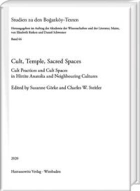 Görke / Steitler |  Cult, Temple, Sacred Spaces | Buch |  Sack Fachmedien