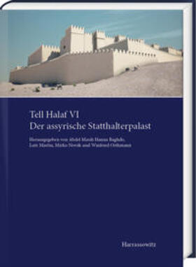 Abdel Masih Hanna / Martin / Novák |  Tell Halaf VI. Der assyrische Statthalterpalast | Buch |  Sack Fachmedien