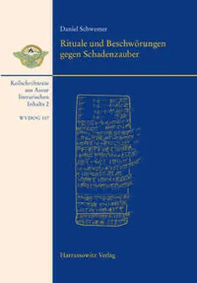 Schwemer |  Rituale und Beschwörungen gegen Schadenzauber | eBook | Sack Fachmedien