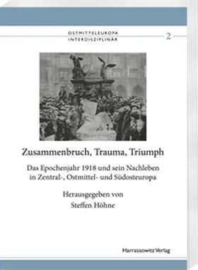 Höhne |  Zusammenbruch, Trauma, Triumph | eBook | Sack Fachmedien