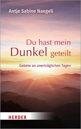 Naegeli | Du hast mein Dunkel geteilt | Buch | 978-3-451-03185-4 | sack.de