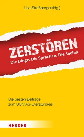 Straßberger |  Zerstören | Buch |  Sack Fachmedien