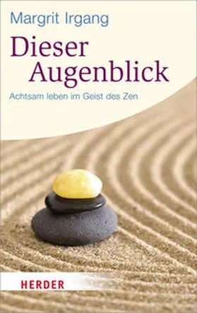 Irgang |  Dieser Augenblick | Buch |  Sack Fachmedien