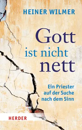 Wilmer |  Gott ist nicht nett | Buch |  Sack Fachmedien