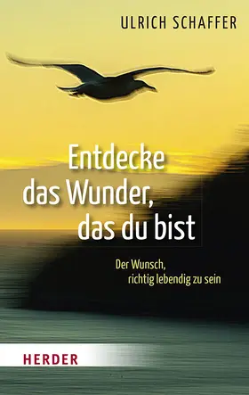 Schaffer |  Entdecke das Wunder, das du bist | Buch |  Sack Fachmedien