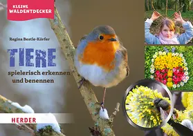 Bestle-Körfer |  Kleine Waldentdecker: Tiere | Buch |  Sack Fachmedien