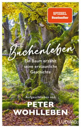 Wohlleben |  Buchenleben | Buch |  Sack Fachmedien