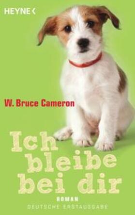 Cameron |  Ich bleibe bei dir | Buch |  Sack Fachmedien