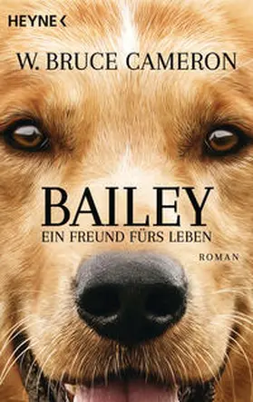 Cameron |  Bailey - Ein Freund fürs Leben | Buch |  Sack Fachmedien