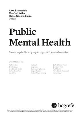 Bramesfeld / Koller / Salize |  Public Mental Health | eBook | Sack Fachmedien