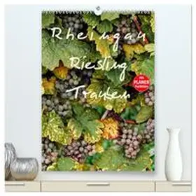 Meyer / CALVENDO |  Rheingau - Riesling Trauben (hochwertiger Premium Wandkalender 2025 DIN A2 hoch), Kunstdruck in Hochglanz | Sonstiges |  Sack Fachmedien