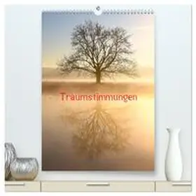 Kaiser / CALVENDO |  Traumstimmungen (hochwertiger Premium Wandkalender 2025 DIN A2 hoch), Kunstdruck in Hochglanz | Sonstiges |  Sack Fachmedien