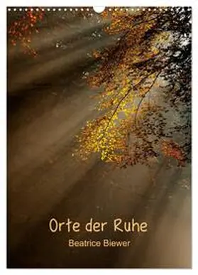 Biewer / CALVENDO |  Orte der Ruhe (Wandkalender 2025 DIN A3 hoch), CALVENDO Monatskalender | Sonstiges |  Sack Fachmedien