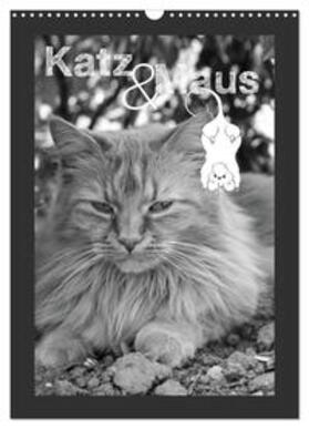 Koch / CALVENDO |  Katz & Maus (Wandkalender 2025 DIN A3 hoch), CALVENDO Monatskalender | Sonstiges |  Sack Fachmedien