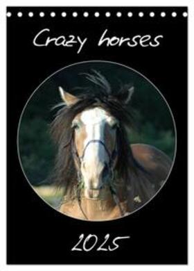 Lampert / CALVENDO |  Crazy horses (Tischkalender 2025 DIN A5 hoch), CALVENDO Monatskalender | Sonstiges |  Sack Fachmedien