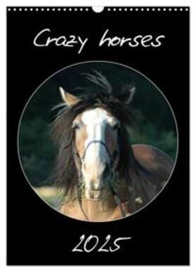 Lampert / CALVENDO |  Crazy horses (Wandkalender 2025 DIN A3 hoch), CALVENDO Monatskalender | Sonstiges |  Sack Fachmedien