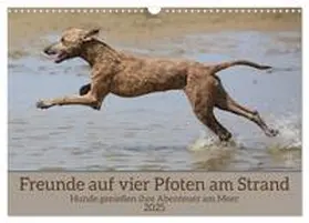 Bittner / CALVENDO |  Freunde auf vier Pfoten am Strand (Wandkalender 2025 DIN A3 quer), CALVENDO Monatskalender | Sonstiges |  Sack Fachmedien