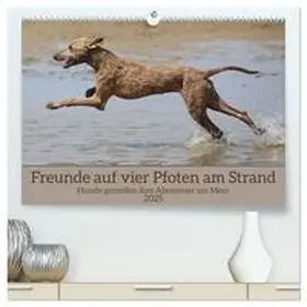 Bittner / CALVENDO |  Freunde auf vier Pfoten am Strand (hochwertiger Premium Wandkalender 2025 DIN A2 quer), Kunstdruck in Hochglanz | Sonstiges |  Sack Fachmedien