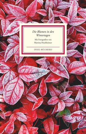 Hochheimer |  Die Blumen in den Wintertagen | Buch |  Sack Fachmedien