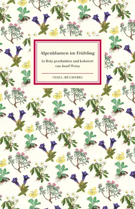  Alpenblumen im Frühling | Buch |  Sack Fachmedien