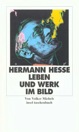 Hesse / Michels | Leben und Werk in Bildern | Buch | 978-3-458-31736-4 | sack.de