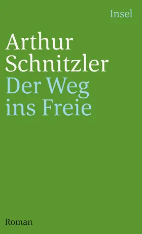 Schnitzler / Schmidt-Bergmann |  Der Weg ins Freie | Buch |  Sack Fachmedien