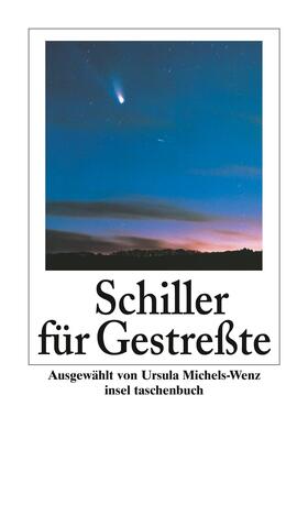 Schiller / Michels-Wenz | Schiller für Gestreßte | Buch | 978-3-458-34774-3 | sack.de