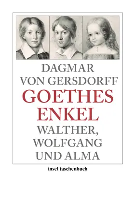 Gersdorff |  Goethes Enkel | Buch |  Sack Fachmedien