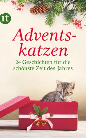 Dammel |  Adventskatzen | Buch |  Sack Fachmedien