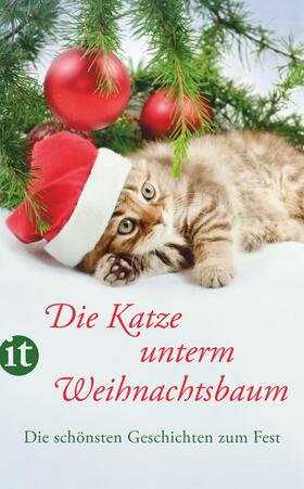 Dammel |  Die Katze unterm Weihnachtsbaum | Buch |  Sack Fachmedien